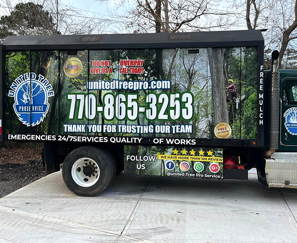 matchsigns-wrap-car-truck-wrapping-georgia-usa-landscape