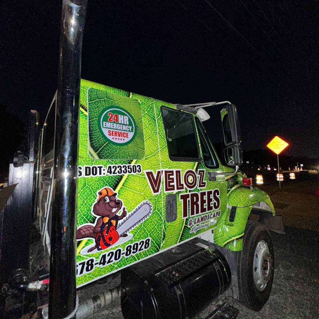 matchsigns-wrap-car-truck-wrapping-georgia-usa-tree services2